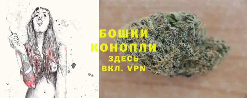 купить наркоту  Дзержинский  гидра tor  МАРИХУАНА White Widow 